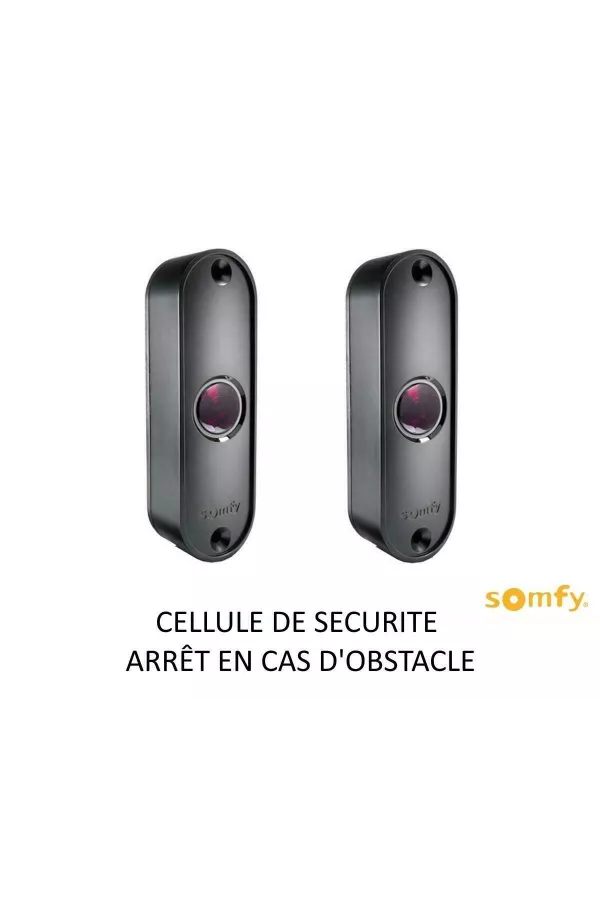 Moteur portail battant - IXENGO L 24V 3S io - PACK CONFOR... — coloris disponibles sur mesure en Loire