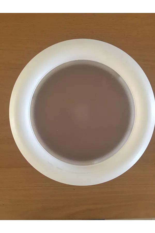 Hublot rond en PVC blanc, double vitrage plexiglas, brouillé, 315 mm