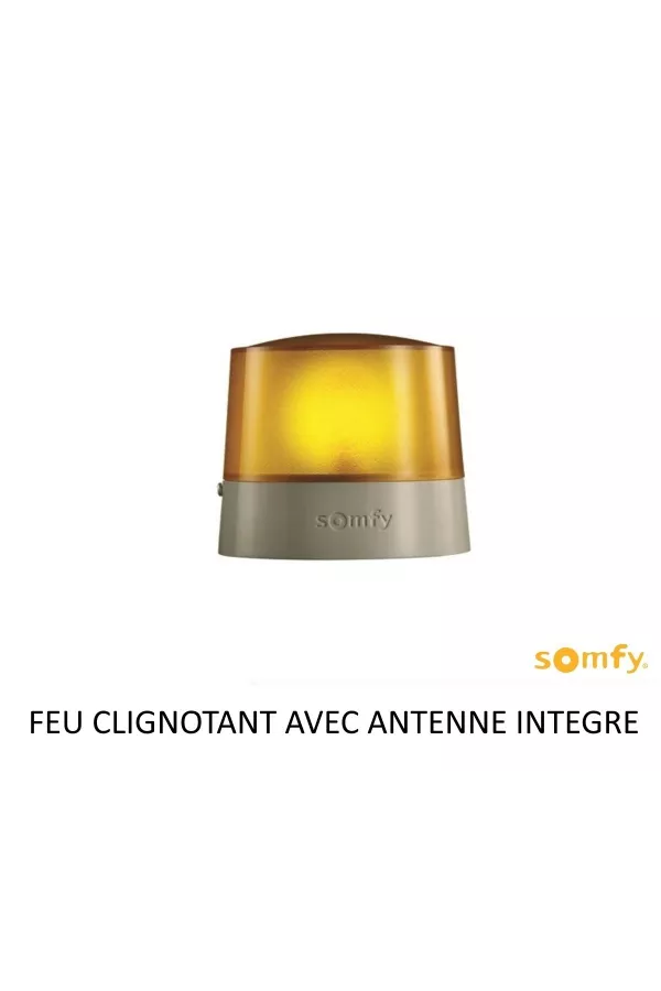 Moteur portail battant - AXOVIA MULTIPRO 3S io - PACK CON... — coloris disponibles sur mesure en Loire