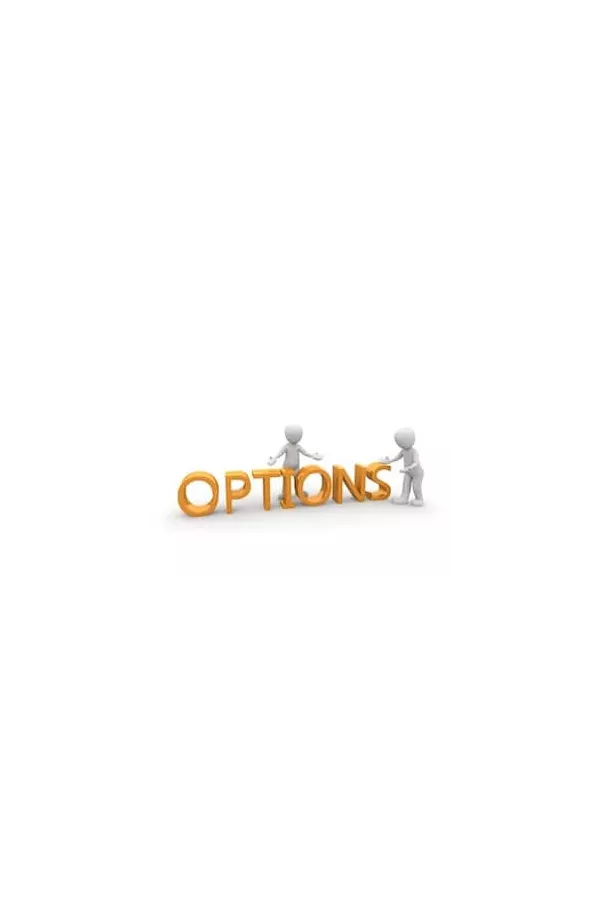 Recepteur Standard RTS Somfy pour automatisme portail - vue de face | Bretagne