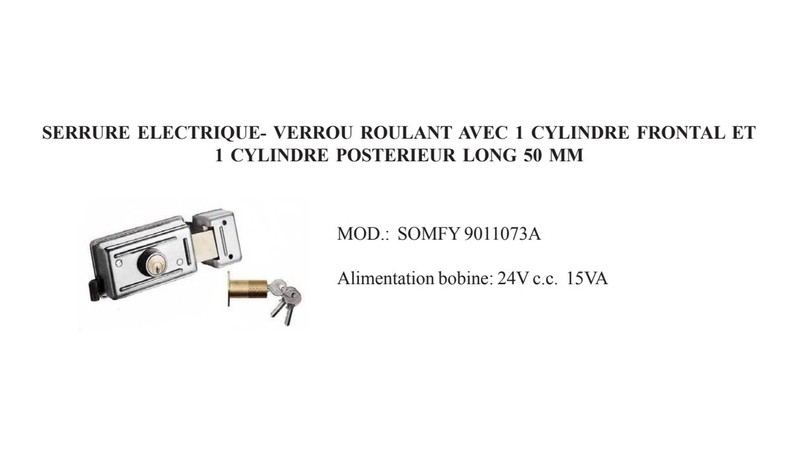 Motorisation portail battant Evolvia Star 400 - detail verin | Provence-Alpes-Cote d'Azur