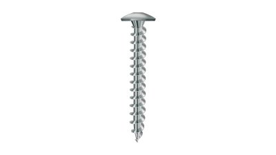 Vis de penture Torx acier zingué blanc Ø 6 mm Viswood