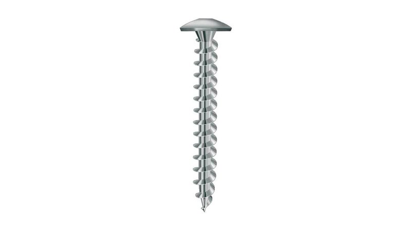 Vis de penture Torx acier zingué blanc Ø 6 mm Viswood