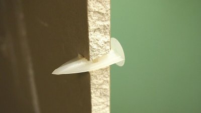 Chevilles polyamide Tacoplac pour plaques de plâtre Prunier boîte de 50