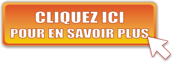 Portail PVC sur mesure