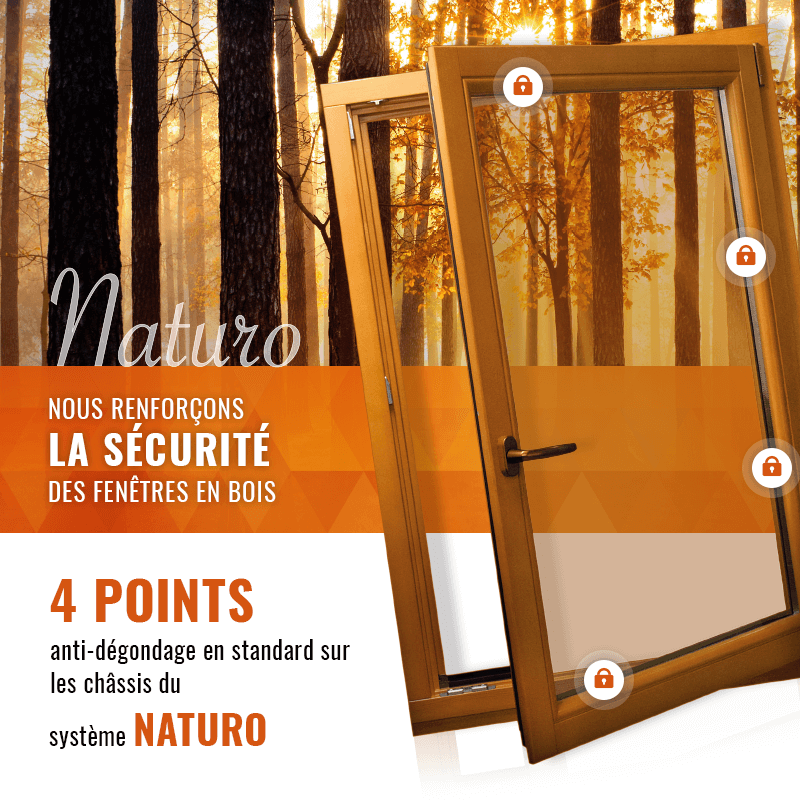 Fenêtres en Bois
