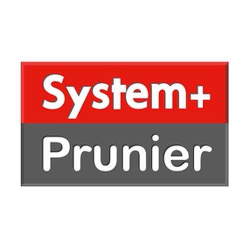 Prunier