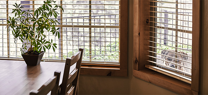 Nouvelles couleurs dans le nuancier Aliplast Wood Colour Effect